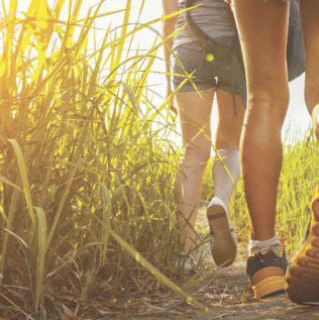 Hiking in Grass